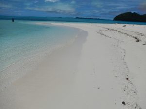 パラオの美しいビーチ