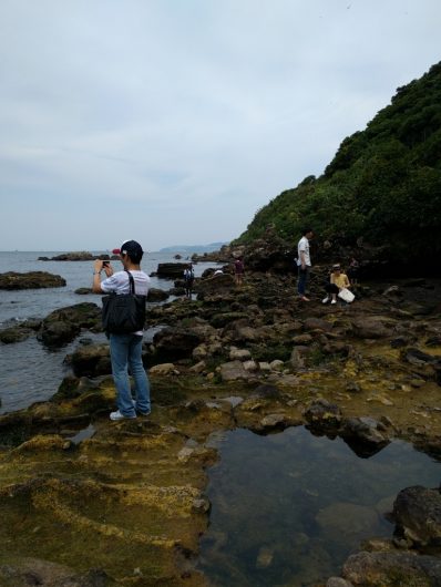 猿島の磯