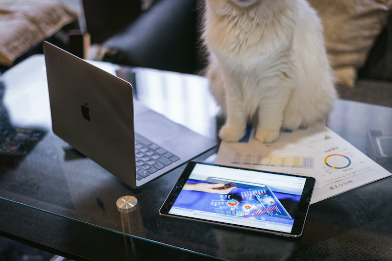 MacBook ProとiPadとネコ